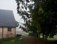 PA110064