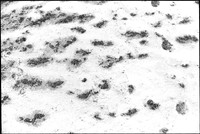 00354a39