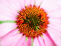P6160025