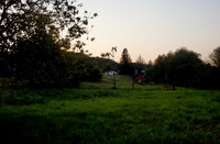 P9040309