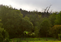 P9050318