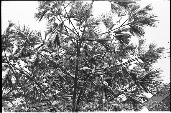 00407a03