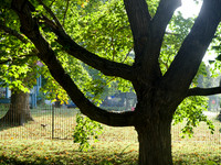 PA020004