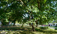 PA040022