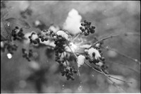 00427b31