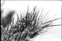 00427b34