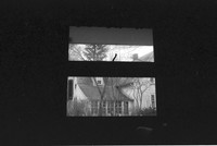 0043502