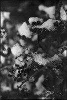 00440b40
