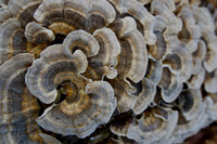 P1140024