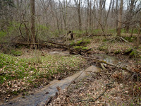 P4030001