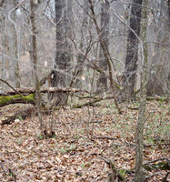 P4040002