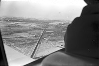 0055529