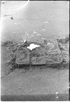 00557a09