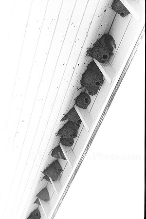 00080a05