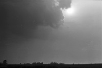 0009206
