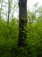 P4300013