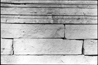 0056501