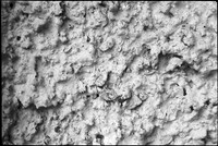 00566c31