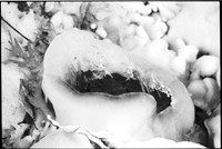 00567e43