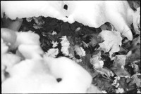 00567e42