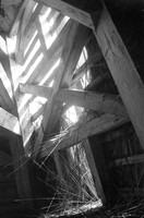 00021c29a