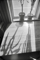 00034b06