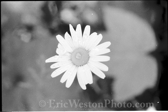00572a26