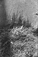 00042a25