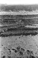 0004838