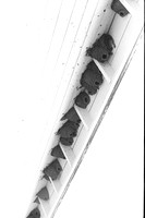 00080a05