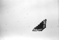 00114b27