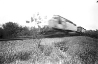00116a02