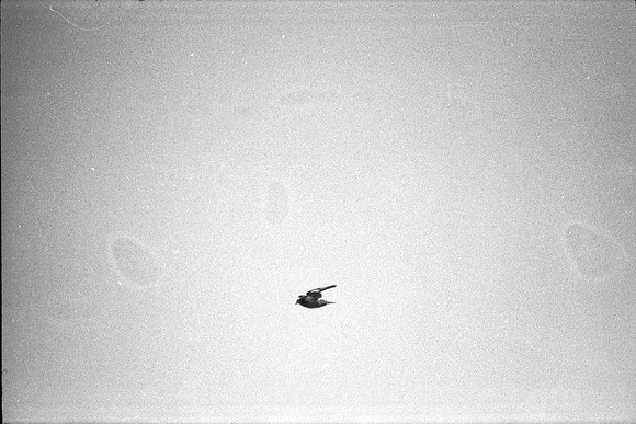 00117a38