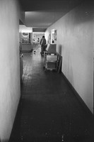 0011805