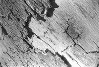 0011932
