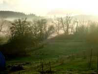 P2080029