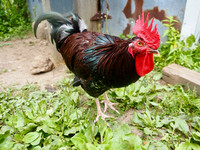 2026 / 07 July
