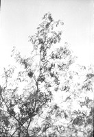 00130b08