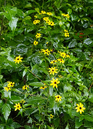P8010055