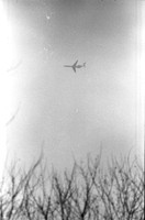 0013528