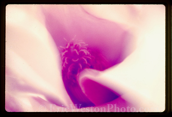 sl197206a01