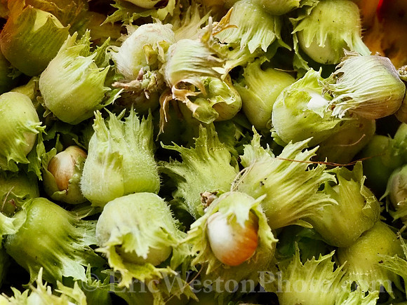 P8190061