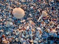 P3270018