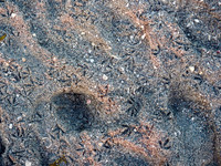 P3270031