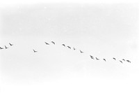 0016305