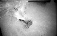 0014528