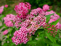 P6100008