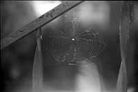 00155a09