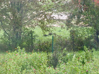 P9300084