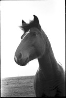 00581g09